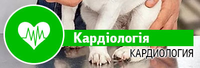 Кардіологія