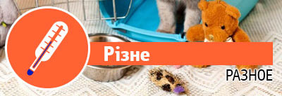 Різне